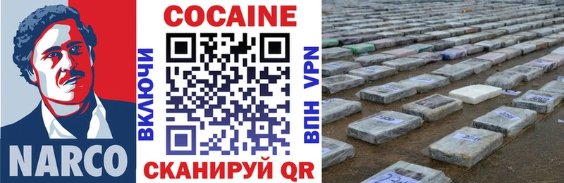 купить закладку  нарко площадка какой сайт  Cocaine Fish Scale  Канск 